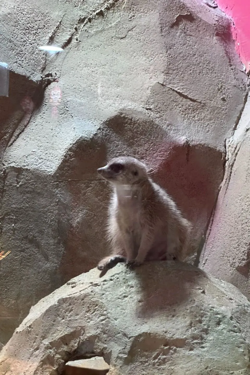 制定篮球交流计划以促进个人技能发展的方法_1